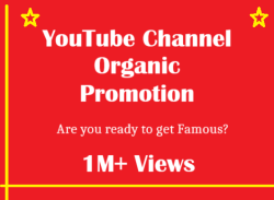 I will do professional and organic top youtube channel promotion
